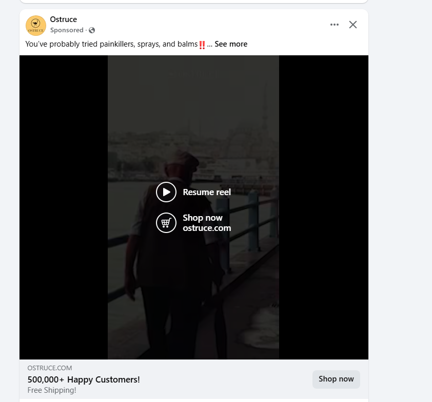 Meta Ads PPC Platform